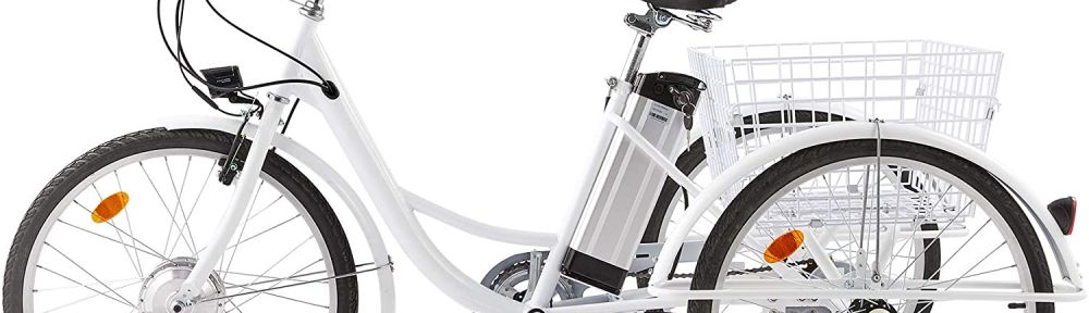 Cost of 2025 3 wheel bike