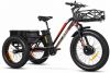 Addmotor M-350 P7 Electric Tricycle cutout