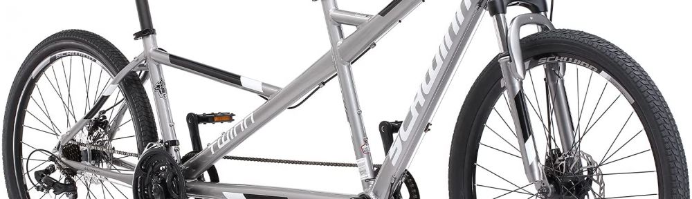 19 Reasons to NOT to Buy Schwinn Twinn Jan 2025 BikeRide