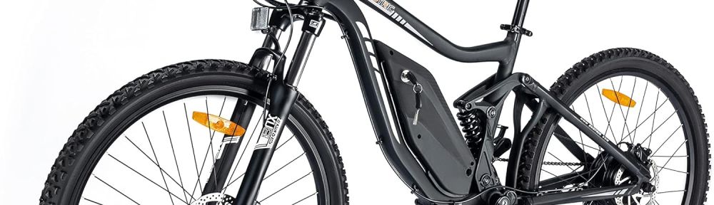 13 Reasons to NOT to Buy Ecotric Tornado Nov 2024 BikeRide