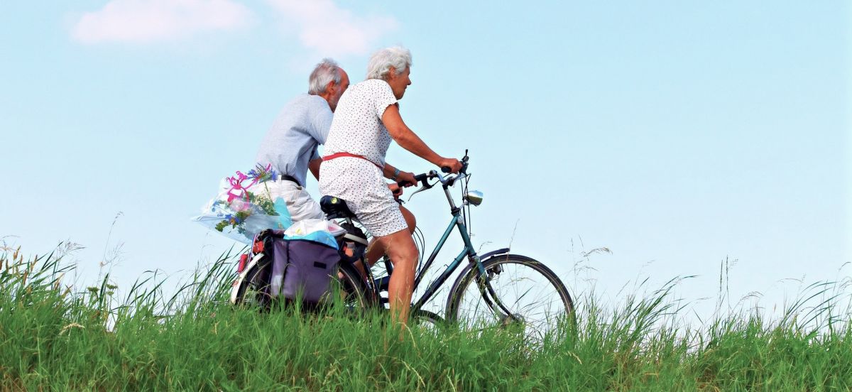 Best Bikes for Seniors