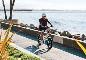 Electric Bikes