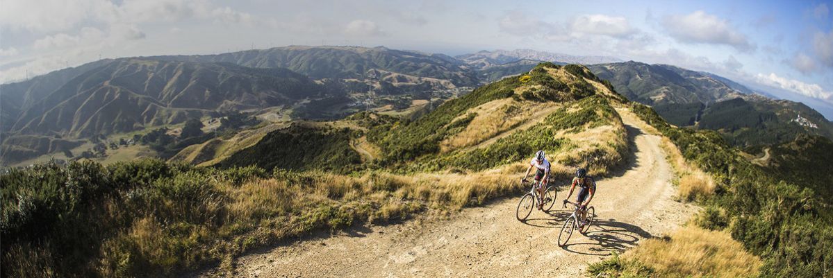 Trinx rise 2.1 online gravel bike