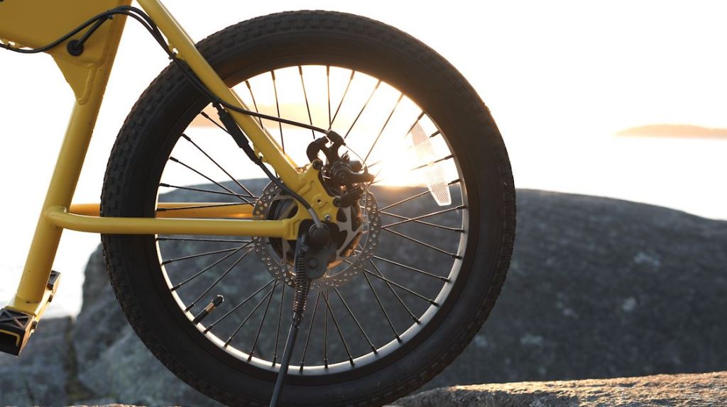 Rear Brake