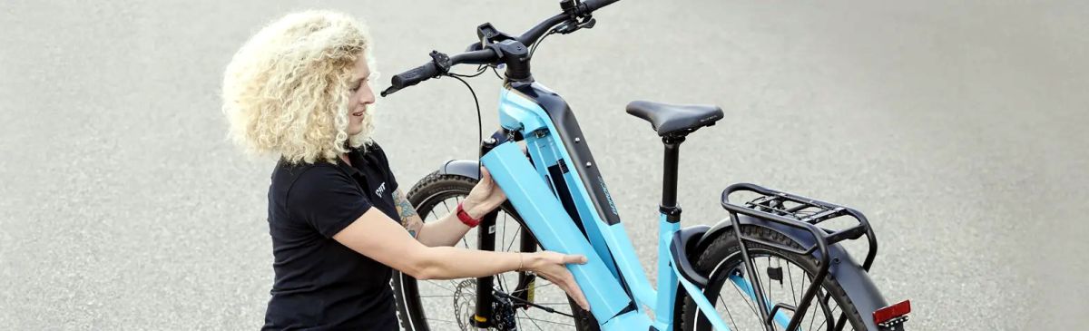 207 Best Class 2 Electric Bikes March 2024 BikeRide
