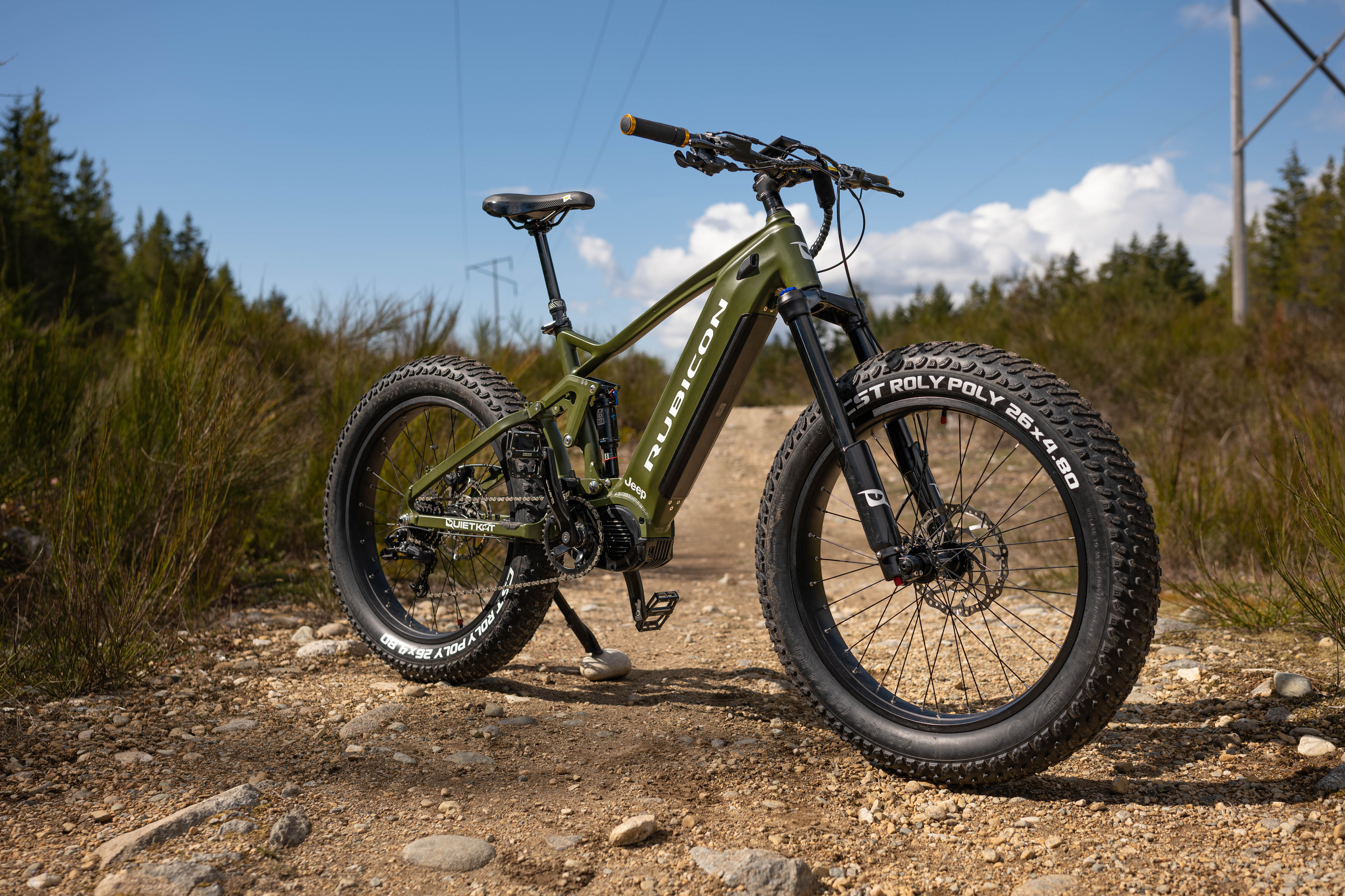 Rubicon E-Bike Angle