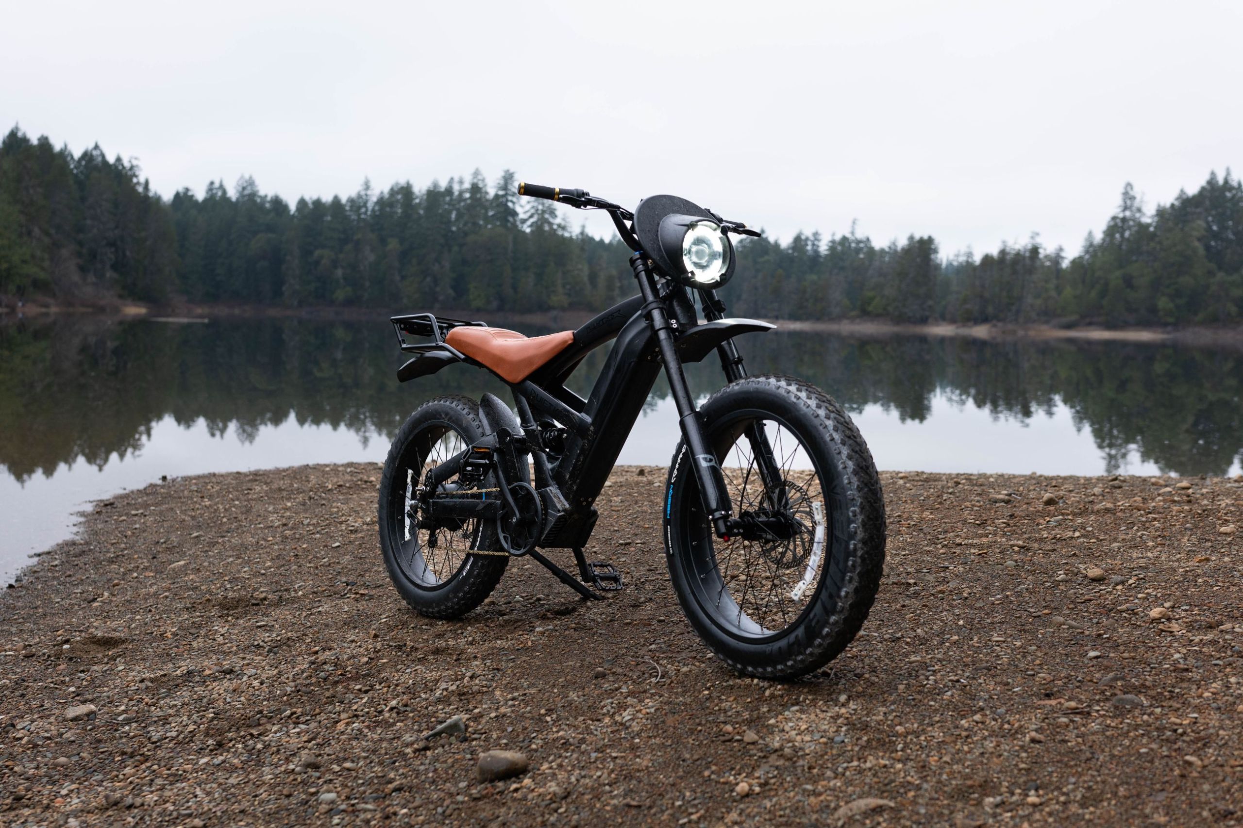 Lynx E-Bike On Beach