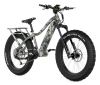 QuietKat Apex eBike