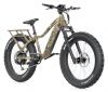 QuietKat Ranger 750-1000 eBike