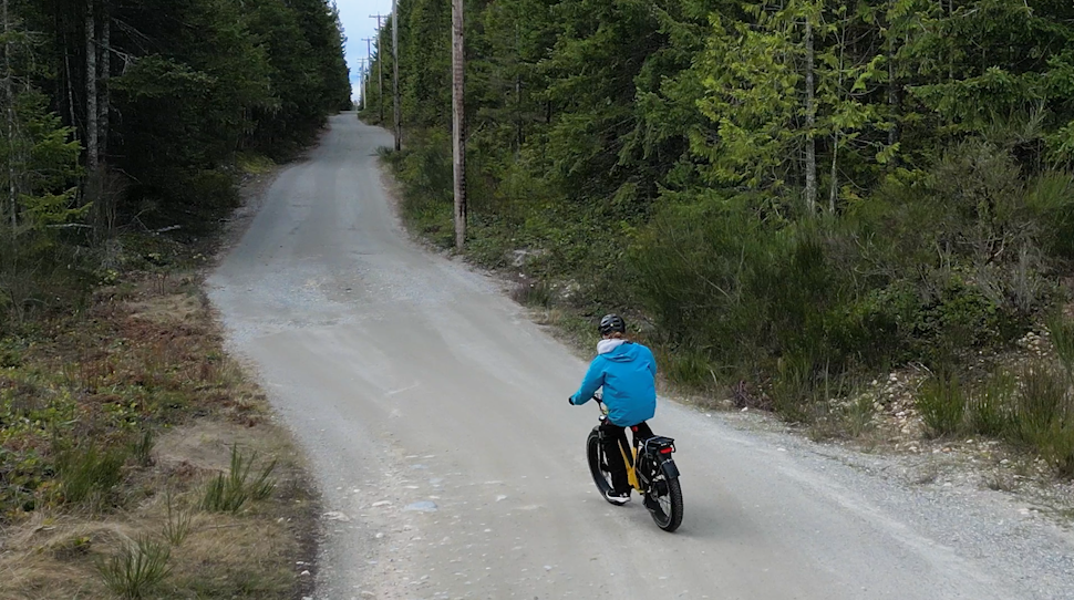 Riding Deer on Gravel Road