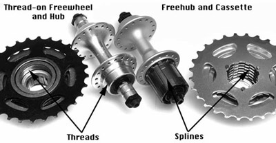 replacing a cassette on a bike